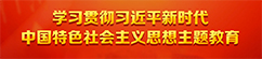 二十大精神
