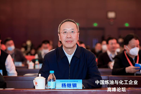 中国石油天然气股份有限公司副总裁、总工程师杨继钢.jpg